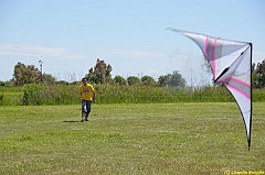 Venice kite festival_0091